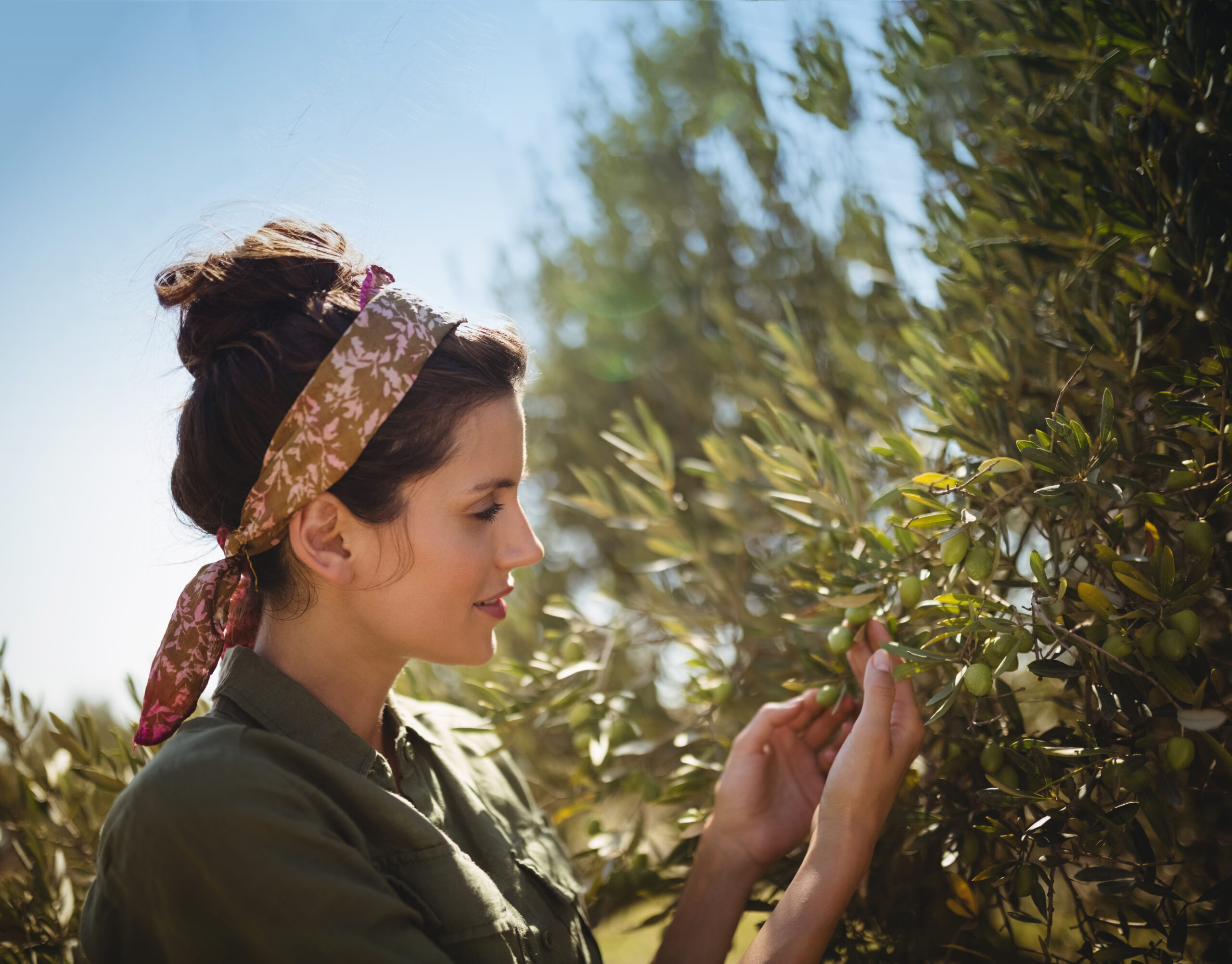 Woman with olive tree
