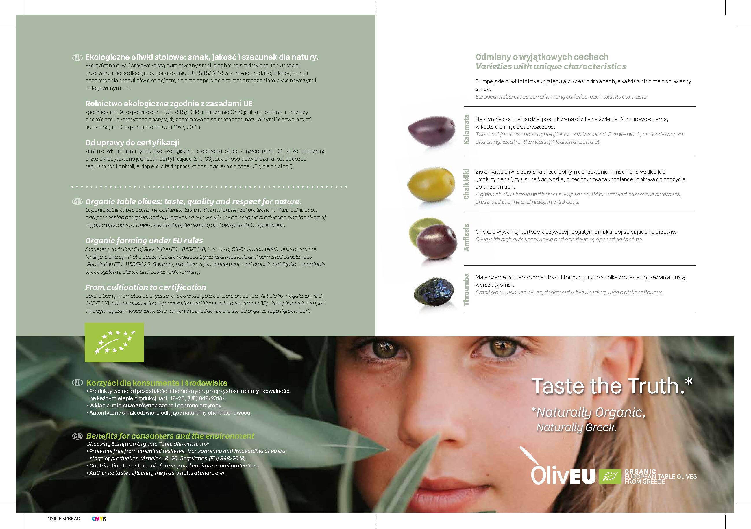 Polski — English brochure page